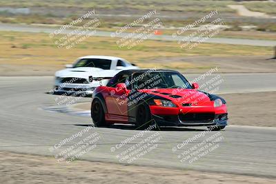 media/May-24-2025-Turn8 Trackdays (Sat) [[034586b55d]]/3 Inter 3/Session 2 (Cotton Corners-Grapevine)/